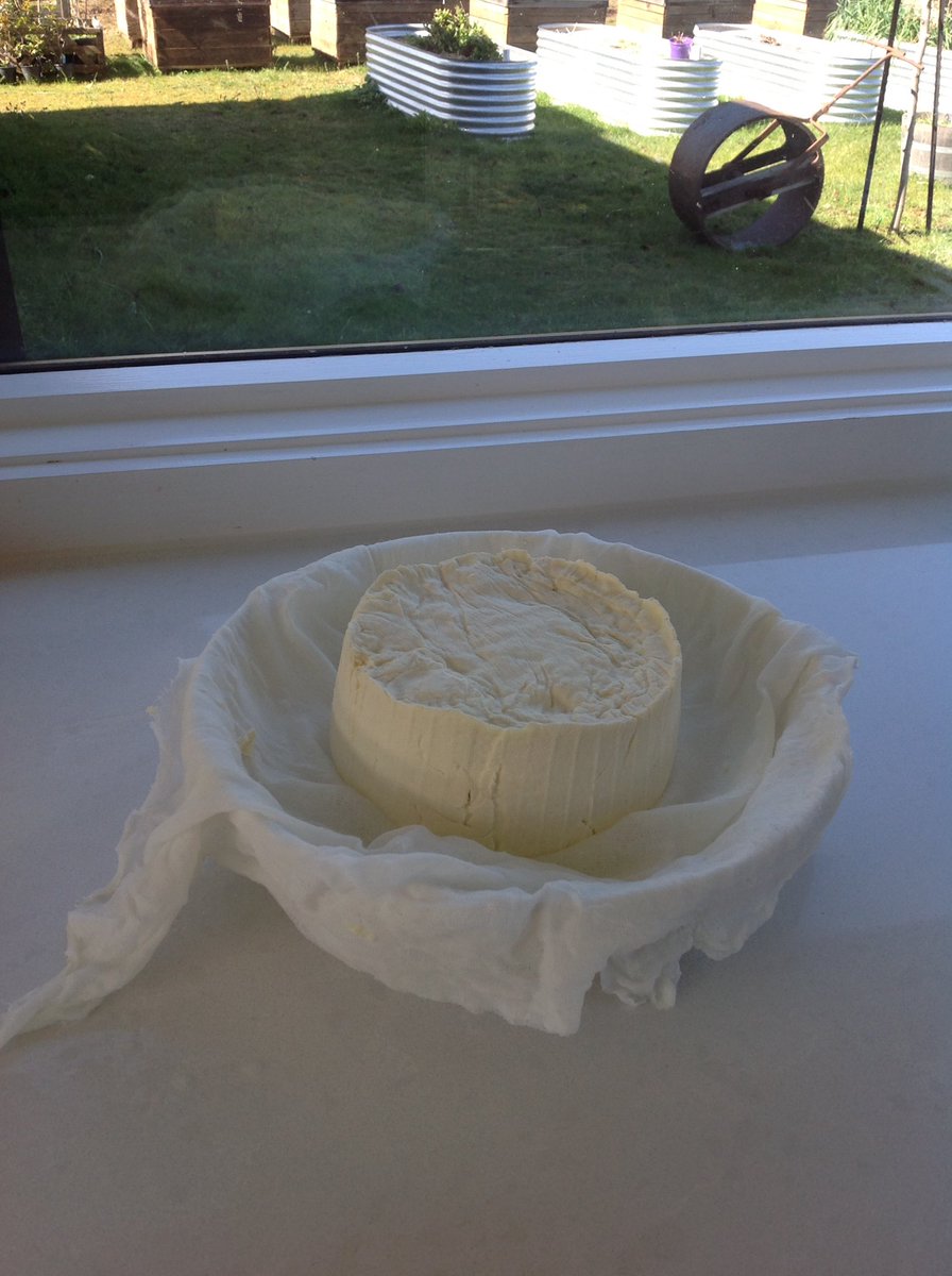 SimplydVineCook's tweet photo. We will be running Cheese Making Classes next year, trying out a wide variety of cheeses at the moment.. #cheese #cooking #Daylesford https://t.co/bIwDBYF7RF