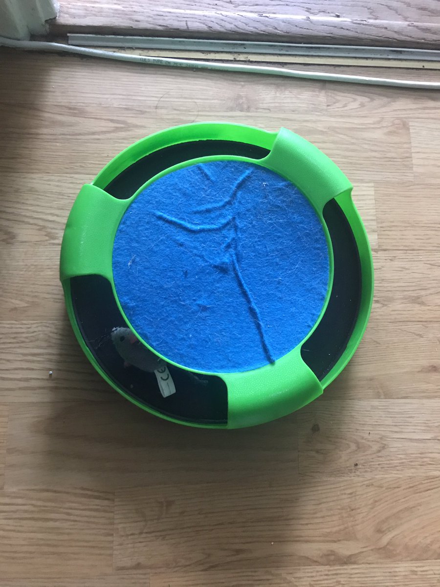 citatavamanda's tweet photo. "Det där är ju en fidgetspinner för katter" - Amanda Borg https://t.co/VihPBrhDcD
