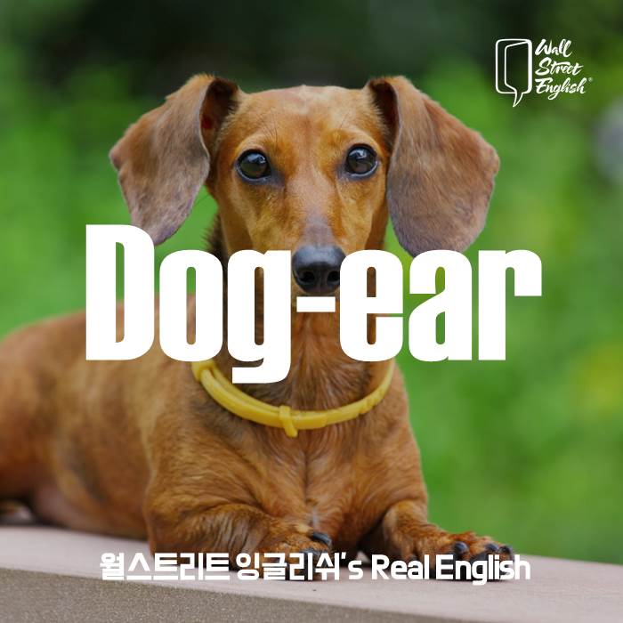 WSEKorea's tweet photo. ★ 오늘의 Real English ★  #관용어구 https://t.co/koxf5t2VTv