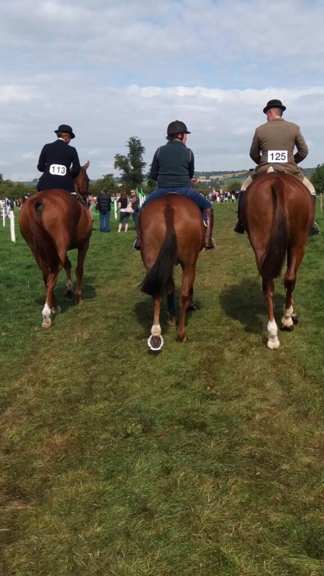foxyhunter43's tweet image. Another one qualified for @hoystweet this weekend! #RBTeam #teamginge @MoretonShow