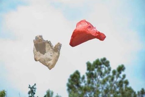 openculture's tweet photo. Werner Herzog Narrates the Touching, Existential Journey of a Plastic Bag https://t.co/IGVYqpCo7z https://t.co/4MocB1QEY3