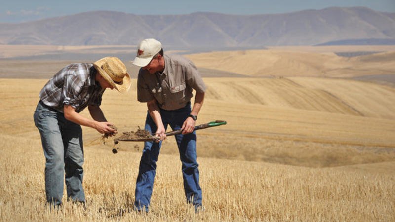 #Glyphosate ban will kill ‘#conservation #agriculture French farmers warn

euractiv.com/section/agricu… #ag #farming #glyphosateisvital <a href="/ecaf_ca/">ConservationAgEurope</a>