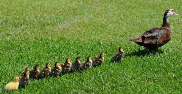 Monique, professeur principal, et ses 6eB, le jour de la #rentree2017