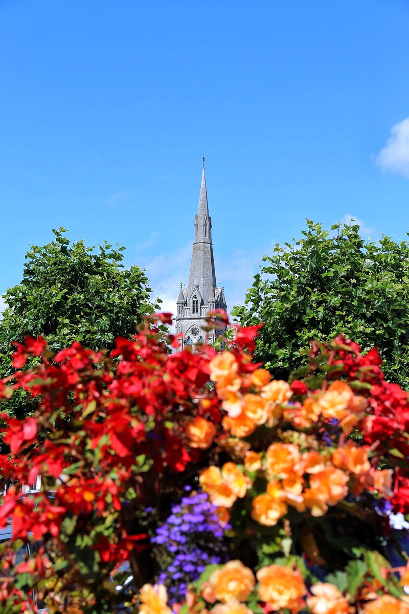 LoughnanHooper tweet media