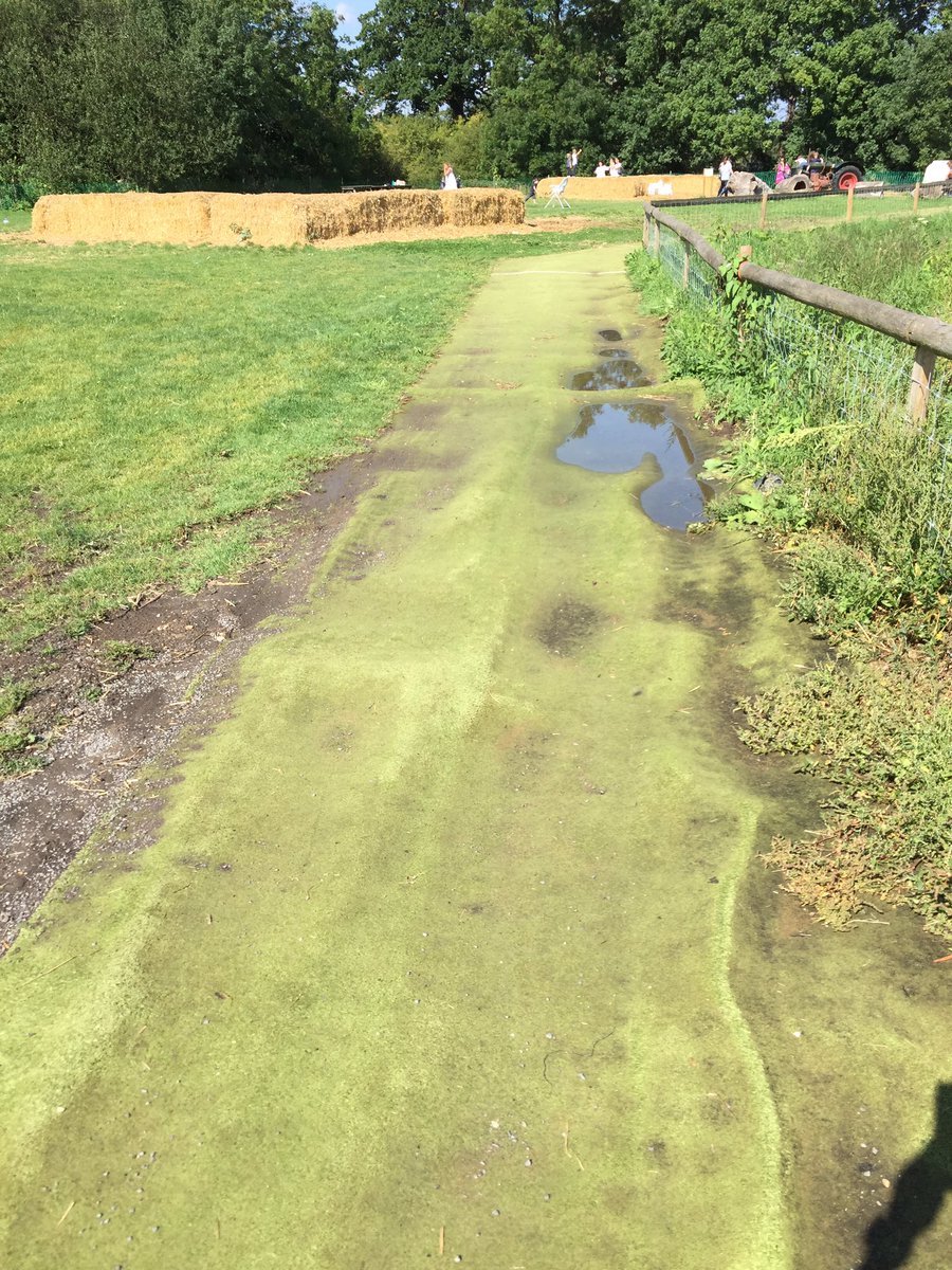 GREENENVEE1's tweet photo. No more muddy, poorly fitted play areas with our #installernetwork & #Manhattan #artificialgrass talk to us today. https://t.co/3GlhGKxWIl