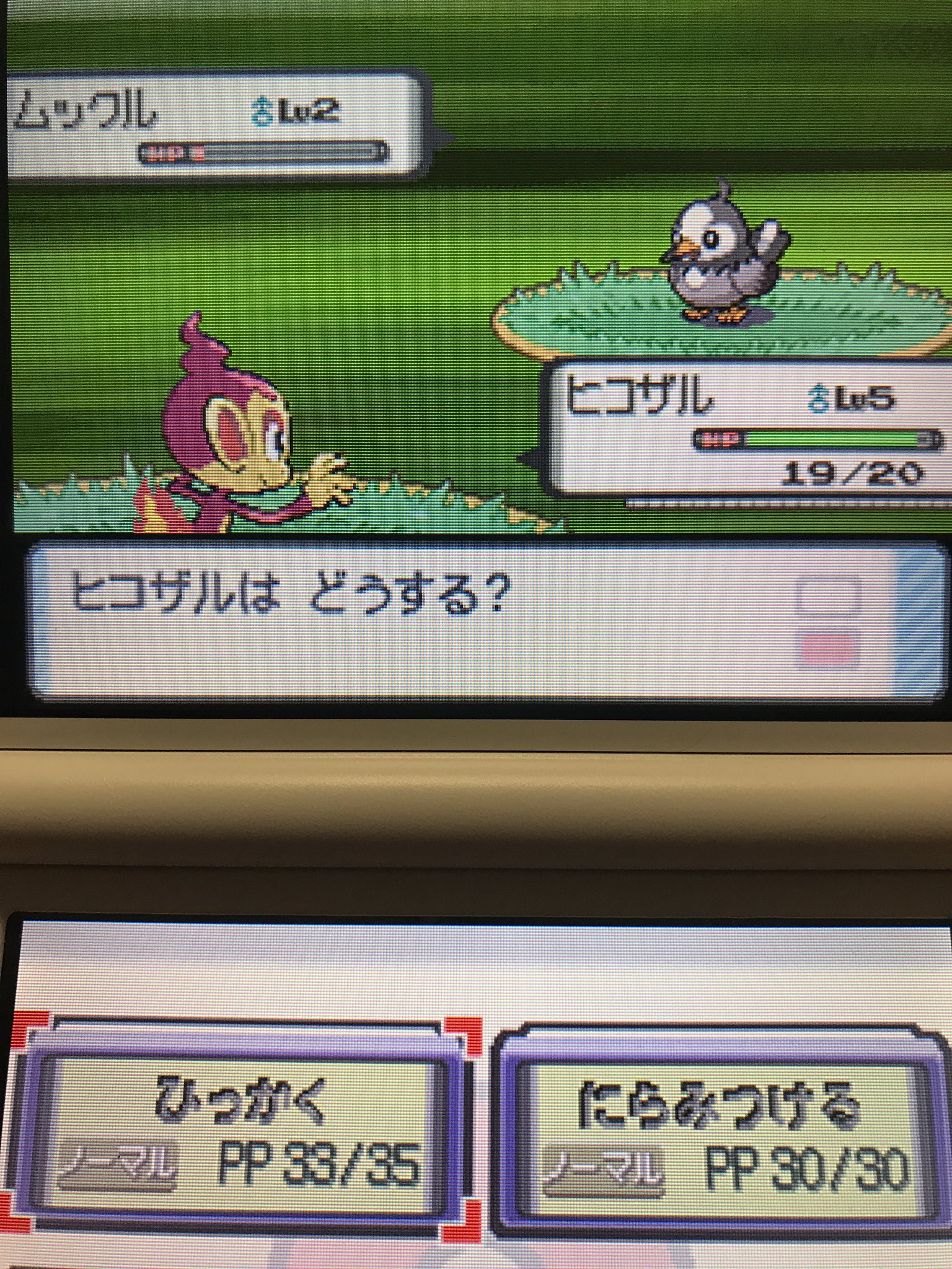 えぬいろ Twitterissa 色違いｷﾀｧｧ ﾉ W ﾉ ﾟ 8000分の1を0 300回目で引いた ポケモン ダイパ 色違い T Co Litcgyvccd Twitter