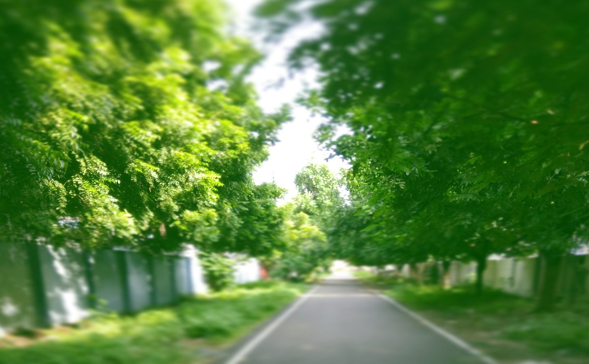 aish_179's tweet photo. //सफर की ही थी मैं सफर की रही //.. #gogreen #streetpic #streetsoflucknow #incridibleindia #picoftheday #emptyroad #mobilegraphy #solucknow https://t.co/VhVcdvisqR