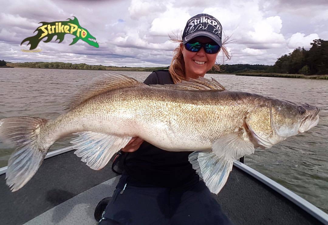 StrikePro2's tweet photo. #strikeproworld #señuelosdepesca #hardlures #pescadeportiva #productosdepesca #articulosdepesca https://t.co/9O1s3u8KZY