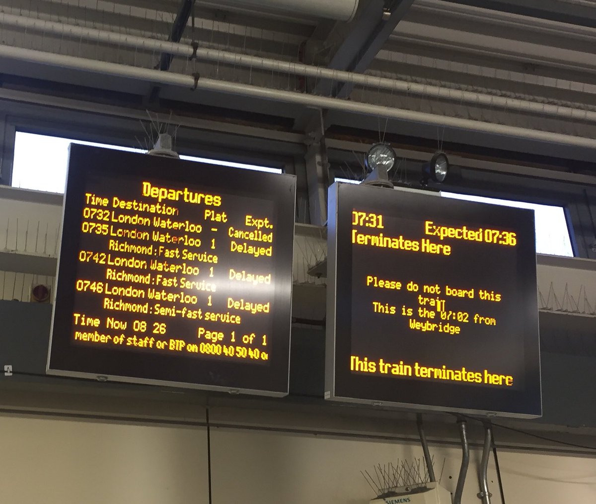 South West Pains tweet media