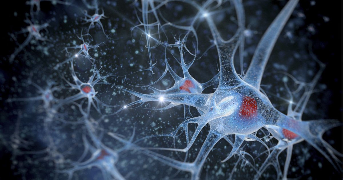 code_cup's tweet image. IBM is teaching AI to behave more like the human brain crwd.fr/2ezfDjb