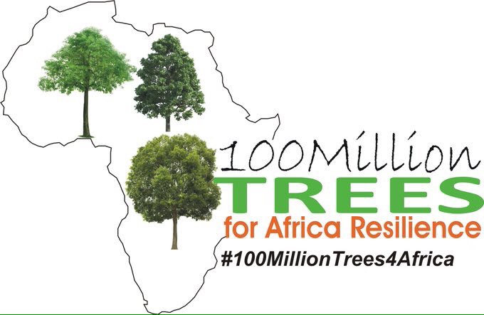 TabiJoda1's tweet photo. We talk too much about #climatechange but barely do much about it. Let's stop talking and start doing #100MillionTrees4Africa @UNFCCC @COP23 https://t.co/j8jID22iyn