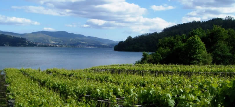 radioarosaSER's tweet photo. #FelizLunes 
comenzamos el mejor día de la semana,mín.18º-máx.26º
@Galicia_Mola @GaliciaMaxica @SienteGalicia @presumeDgalicia @Rias_Baixas https://t.co/byI09OzAPC