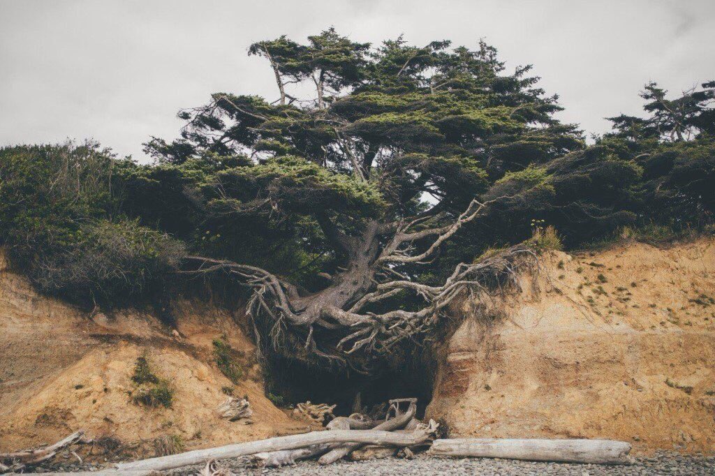 Хэзээ ч битгий бууж өг гэсэн зураг