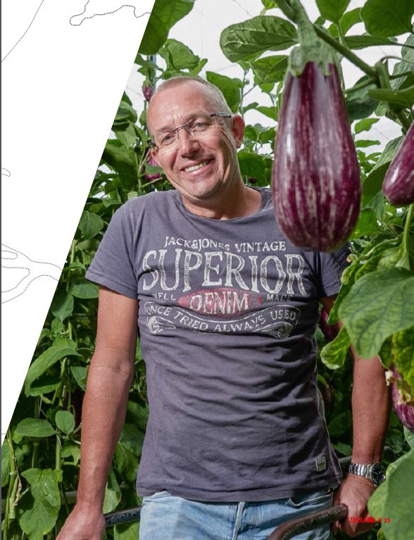ABWerkt's tweet photo. Een ondernemernde ondernemer , deze Pleun van Duijn, één van de belangrijkste auberginekwekers. Lezen dit interview https://t.co/2aVKJ1YRSE https://t.co/vPzg9DJM3T