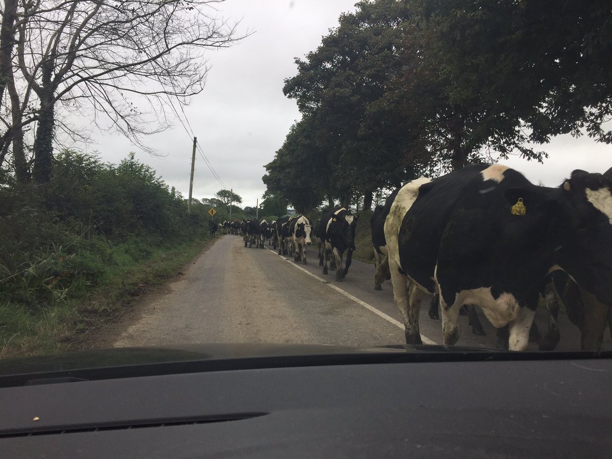 eviltomproject's tweet image. #Traffic #schoolsareback #totalgridlock