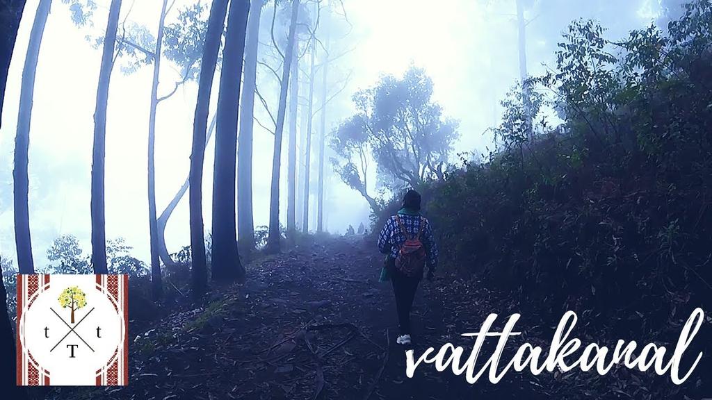 traveller_tree's tweet photo. New vlog out now #TamilNadu #littleisrael #vatta #kodai #India https://t.co/qJjNT8StJJ https://t.co/jpKFFNKxFA