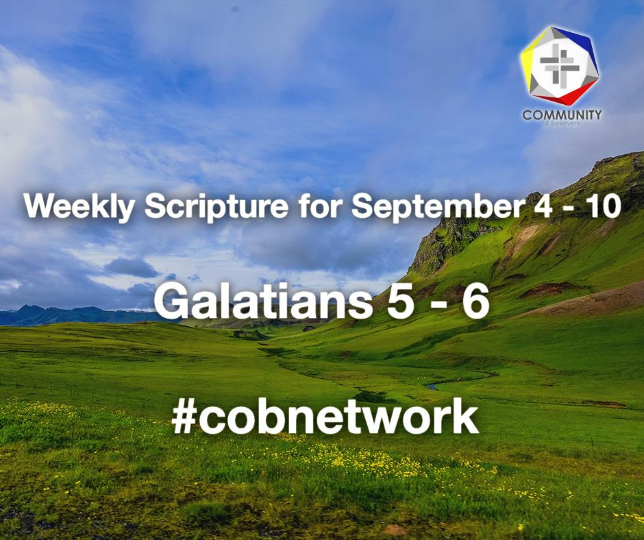 cobnetworkorg tweet picture