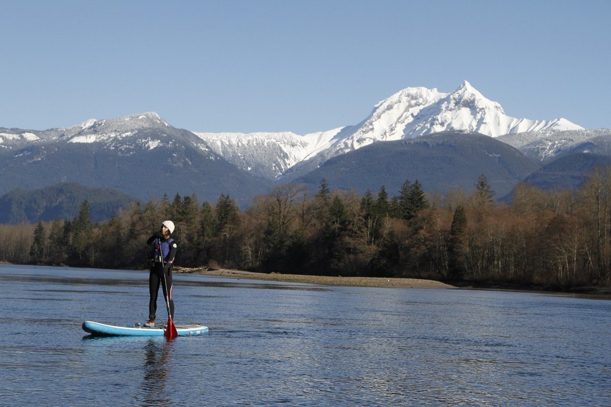 A delightful stock image of our new Paddle Boards. Get in touch <a href="/Grangewaters1/">Grangewaters</a> to check session times and availablity :)