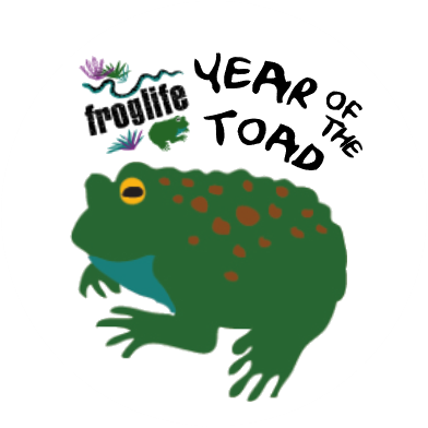 froglifers's tweet photo. Only 1 month left of #YearoftheToad but developing a new toad focused #HLFsupported project in London allows us to continue this great work! https://t.co/UupvAVO5Vg