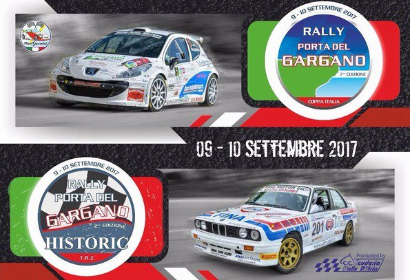 Rally Porta del Gargano, un weekend di adrenalina #foggia teleblu.tv/foggia/107947/…