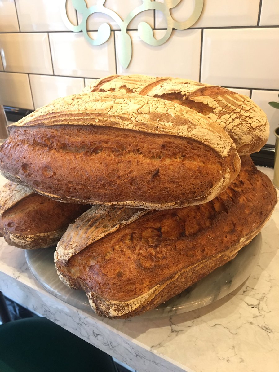 Homemade sourdough for the day 🍞🍞🍞