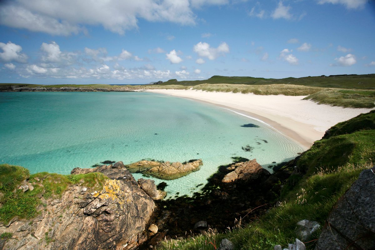 VisitScotland News tweet media