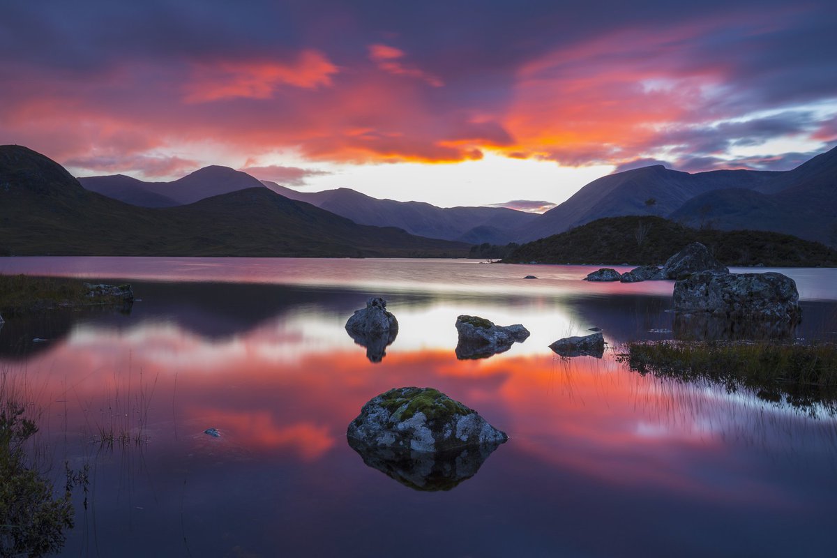 VisitScotland News tweet media
