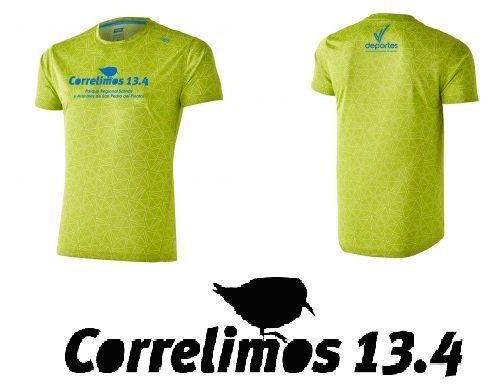 Correlimos13.4 tweet media