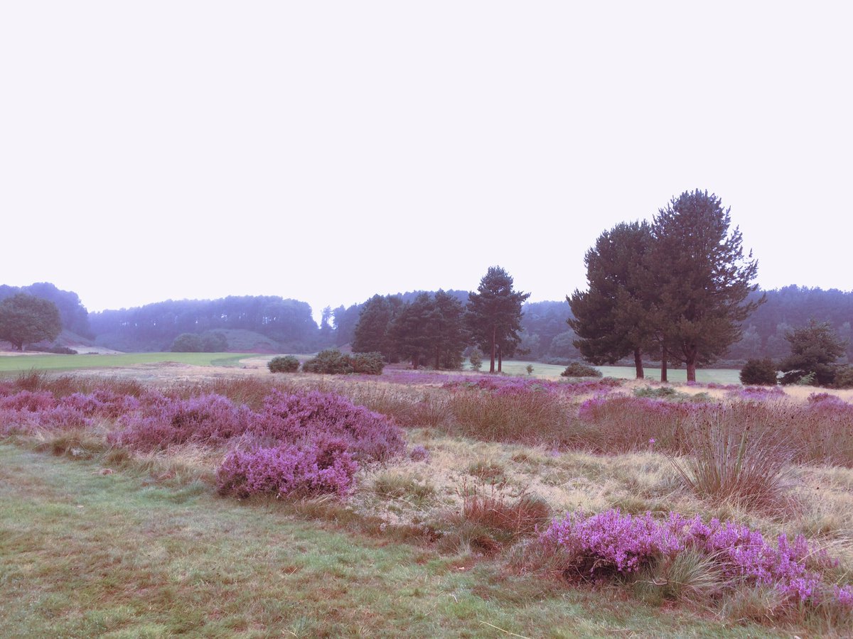 AngelikaHTCG's tweet photo. #Hollinwell #NottsGC - FineGolf's 'Running-GolfDay! ⛳️🏌️ https://t.co/zY4JCR1Vkb