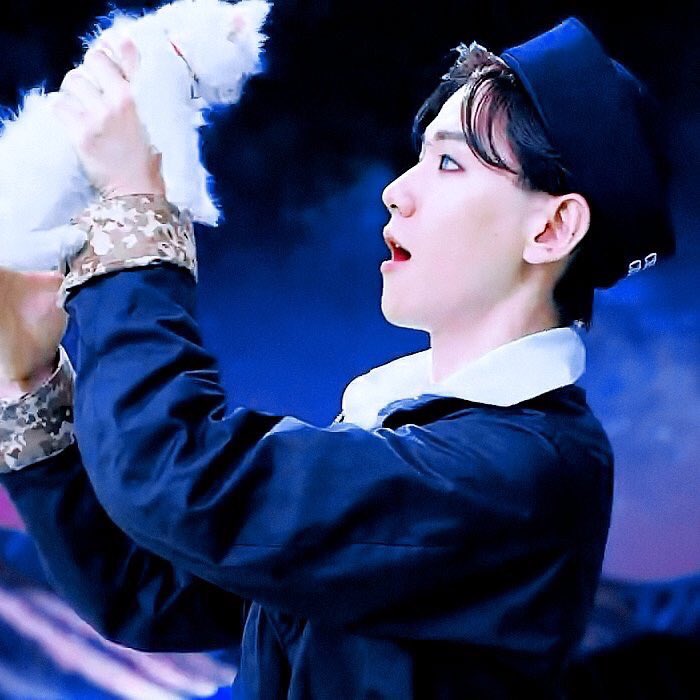 KTWT — CATS + BAEKHYUN Icons