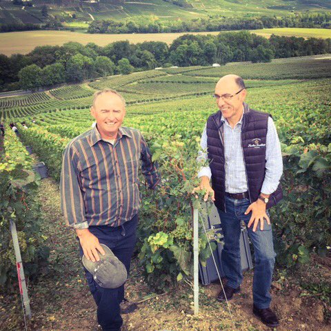 tevchampagne's tweet photo. Un petit air de vendanges du côté de Boursault ! #Vendanges2017 #CVCNF https://t.co/9e16VZbDlE