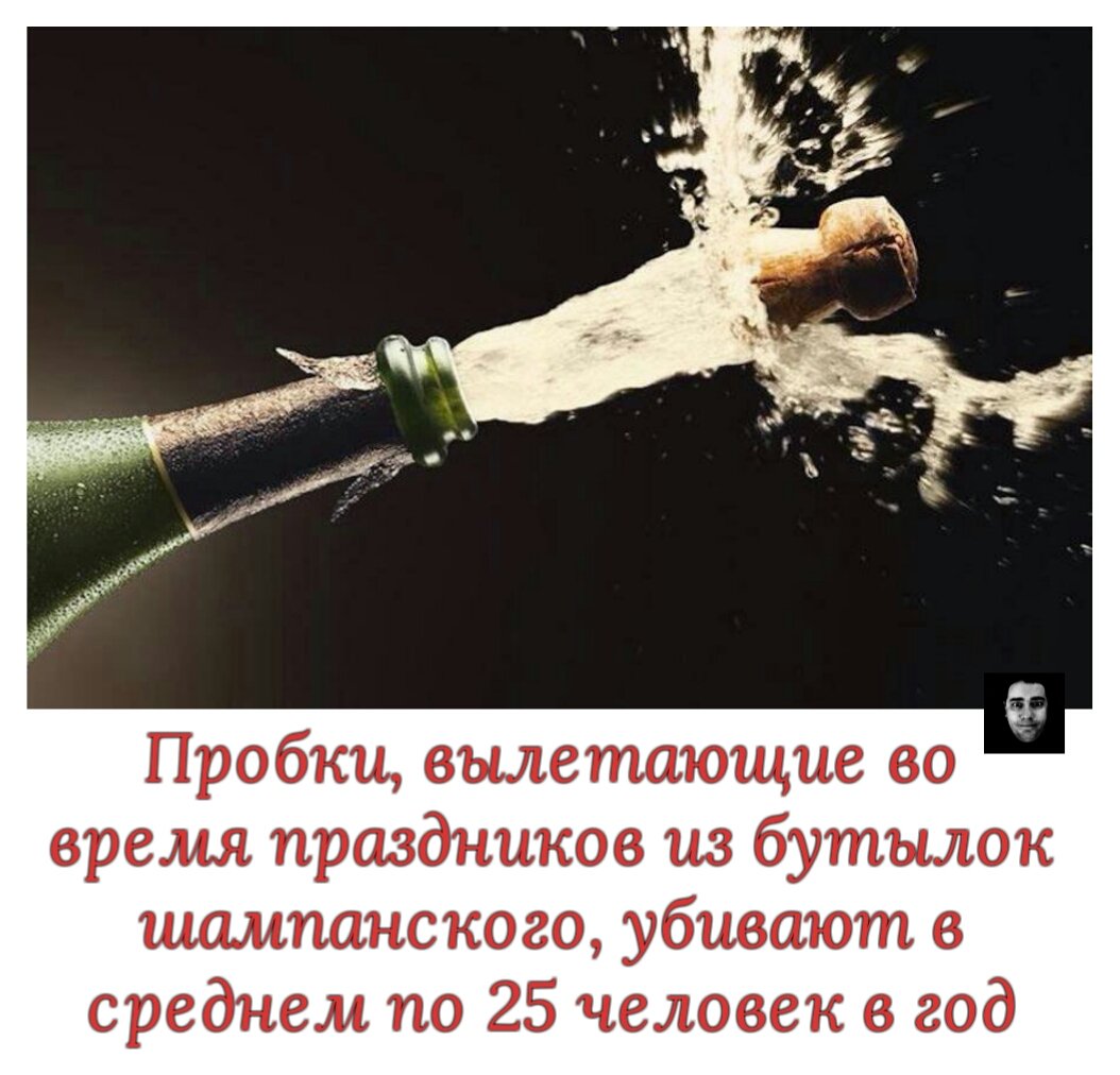 Бутылка шампанского исчезла в жопе пробуем так пройтись попы