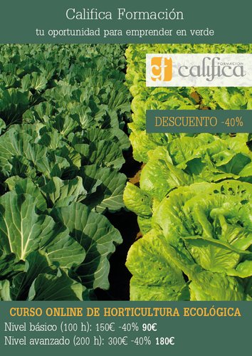 CalificaSL tweet picture