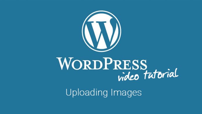 OBrienMediaUK's tweet photo. 33 (and counting!) high-quality, easy to follow, video tutorials covering common #WordPress and #WooCommerce tasks - https://t.co/4uoA6WN1ui https://t.co/eky062XxBa
