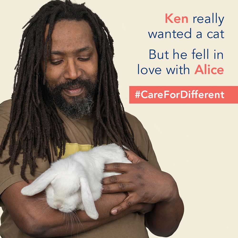 InsideOutIdeas's tweet photo. Some recent work with @RSPCADerby. Pick a personality, not a species. #CareForDifferent #AdoptionCampaign #ThirdSector #CharityMarketing https://t.co/xVIrY2ykJs