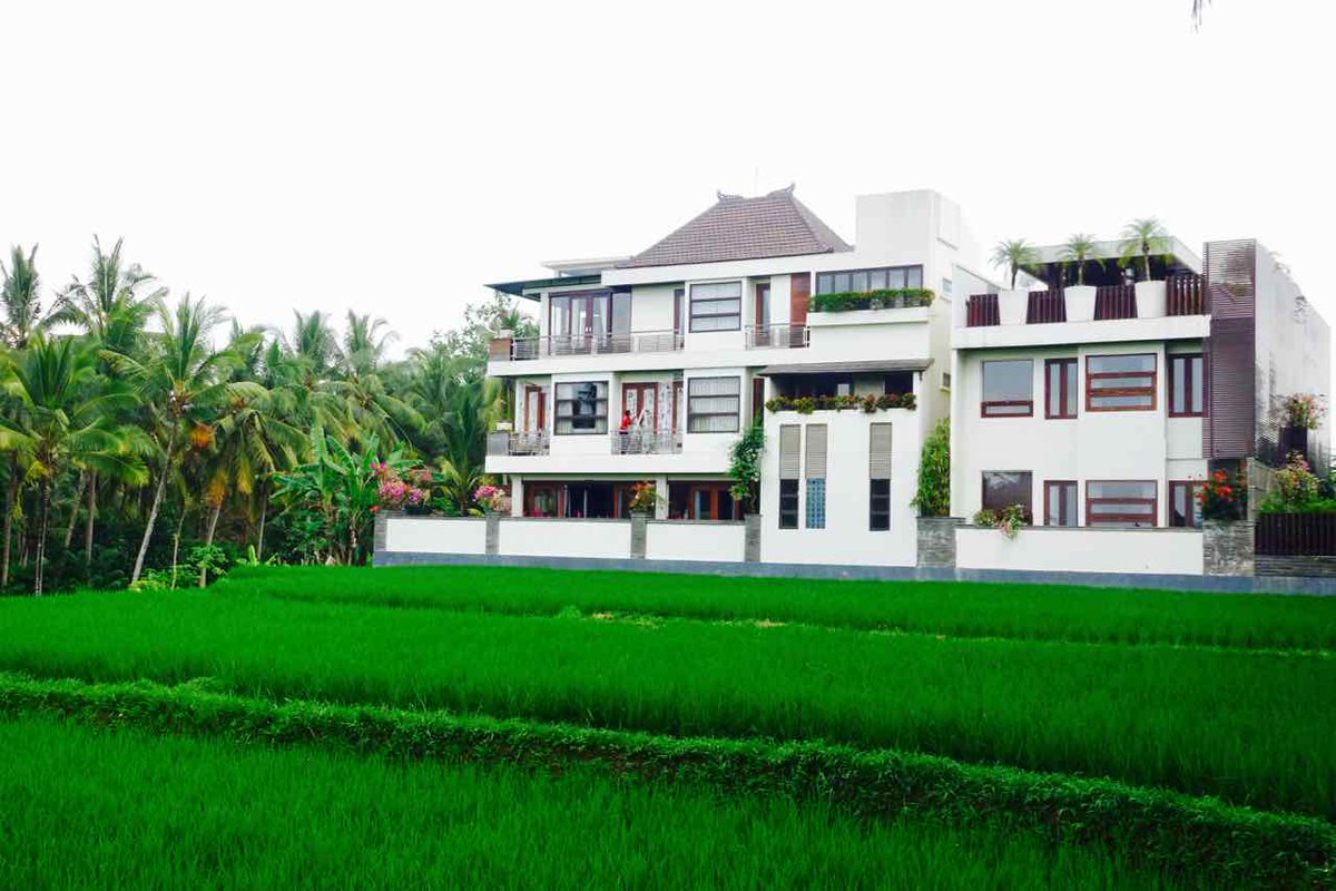 PETERSTRAVELde's tweet photo. Luxe Villas Bali - Bestes Hotel in Ubud https://t.co/fkd8gYyURy #visitbali #luxevillasbali #visitubud https://t.co/olMPMM80rk