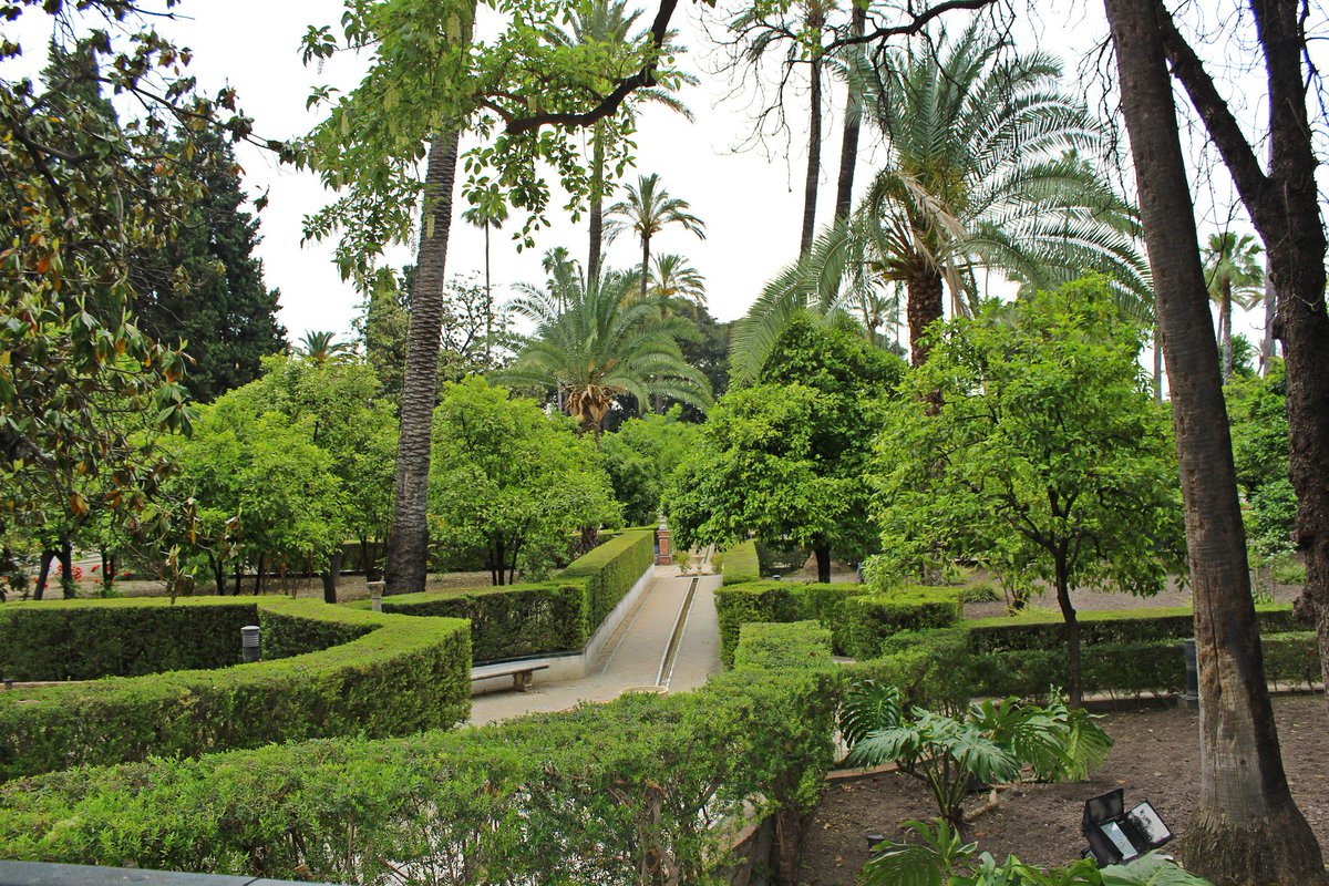 AMJAandalucia's tweet photo. AMJA VELA POR LA ECONOMÍA DEL SECTOR DE LA JARDINERÍA.
https://t.co/YS06O6KeL6 https://t.co/UFuxySTr8W