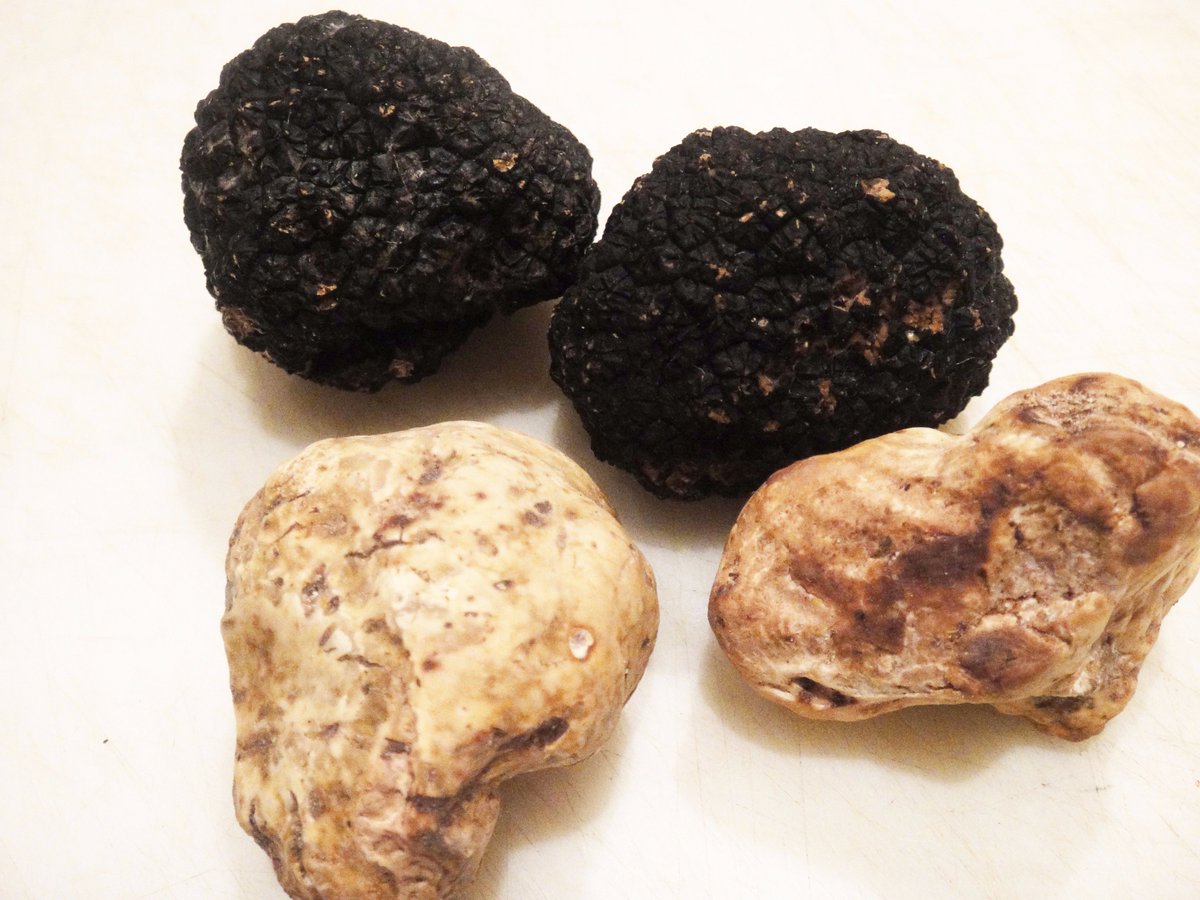 Diglabstudio's tweet image. Первый в Украине трюфельный интернет-магазин — TRUFEL!
Заходите к нам: trufel.com.ua

#трюфель #черныйтрюфель #белыйтрюфель #трюф