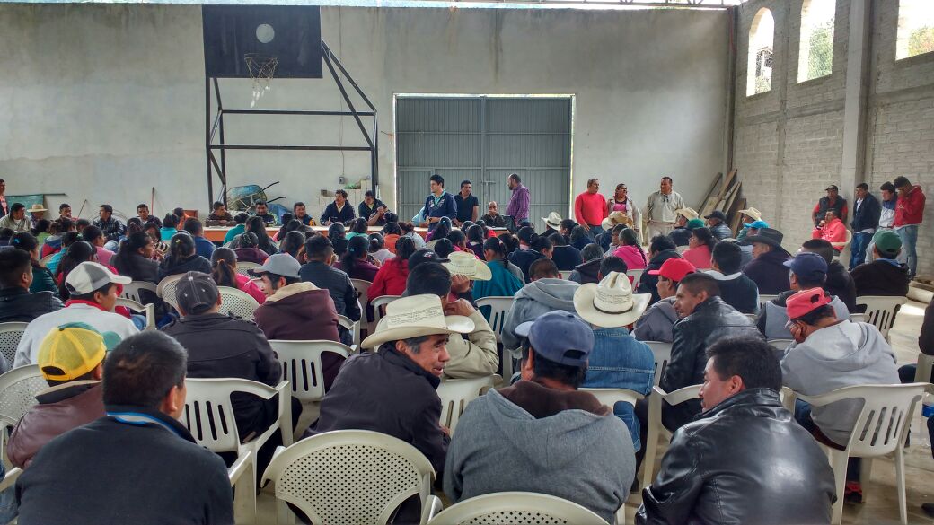 inapro_puebla's tweet photo. Reunion con productores de los ejidos de Xacalco y Ocotlamanic, en el municipio de Coxcatlan, Puebla #Inapro https://t.co/Q2qidQzb0T