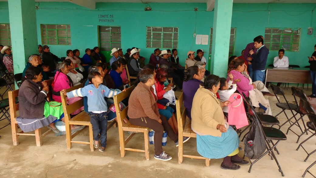 inapro_puebla's tweet photo. Reunion con productores de los ejidos de Xacalco y Ocotlamanic, en el municipio de Coxcatlan, Puebla #Inapro https://t.co/Q2qidQzb0T