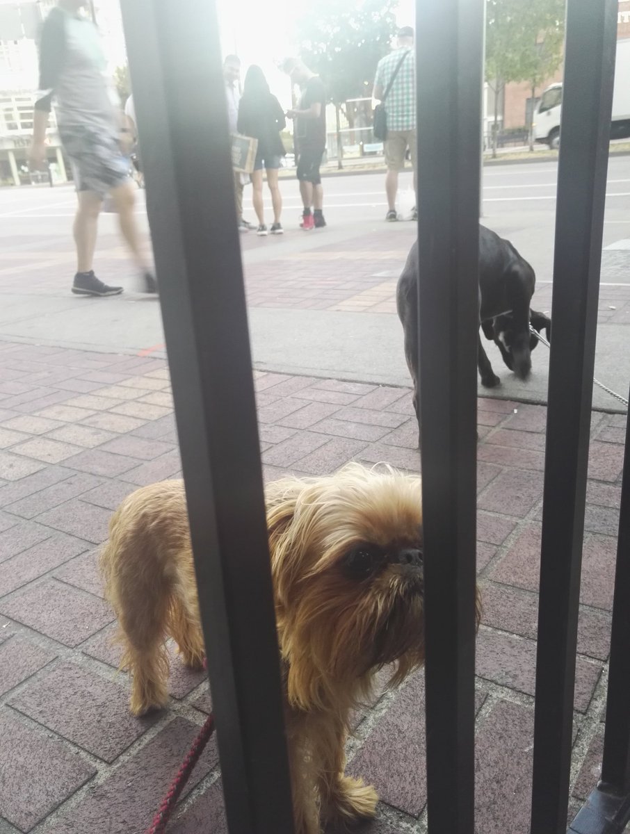 A good spot for quick and filling Mexican food, and the drinks menu is pretty special, too! <a href="/salsa_agave/">salsa y agave</a> #dogfriendly #vancouver #foodie 🐾