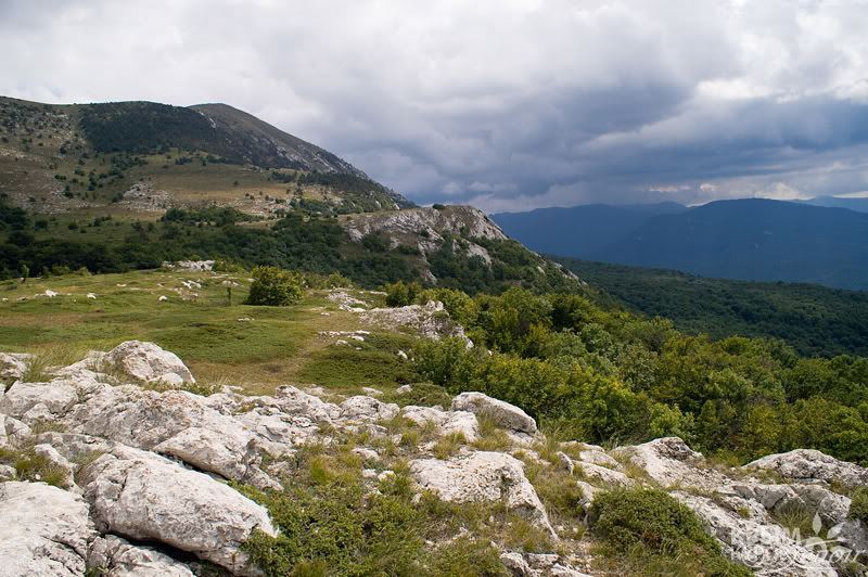 krymkurort's tweet photo. Гора «Чатыр-Даг» в Алуште
https://t.co/DmupNBaE01
Чатыр #даг #гора #горы #Крымские #горы https://t.co/5oERJTCpY6