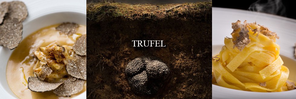 Diglabstudio's tweet image. Первый в Украине трюфельный интернет-магазин — TRUFEL!
Заходите к нам: trufel.com.ua

#трюфель #черныйтрюфель #белыйтрюфель #трюф