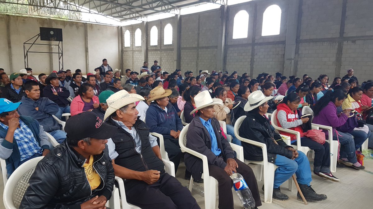 inapro_puebla's tweet photo. Reunion con productores de los ejidos de Xacalco y Ocotlamanic, en el municipio de Coxcatlan, Puebla #Inapro https://t.co/Q2qidQzb0T