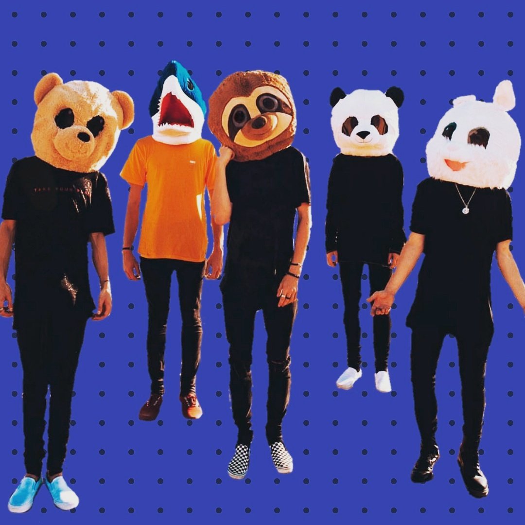 LilEm0902's tweet photo. The bois 😂 i love how they are so real 😂😂 @whydontwemusic #WhydontWe #animals https://t.co/Jhg2SUHVIF