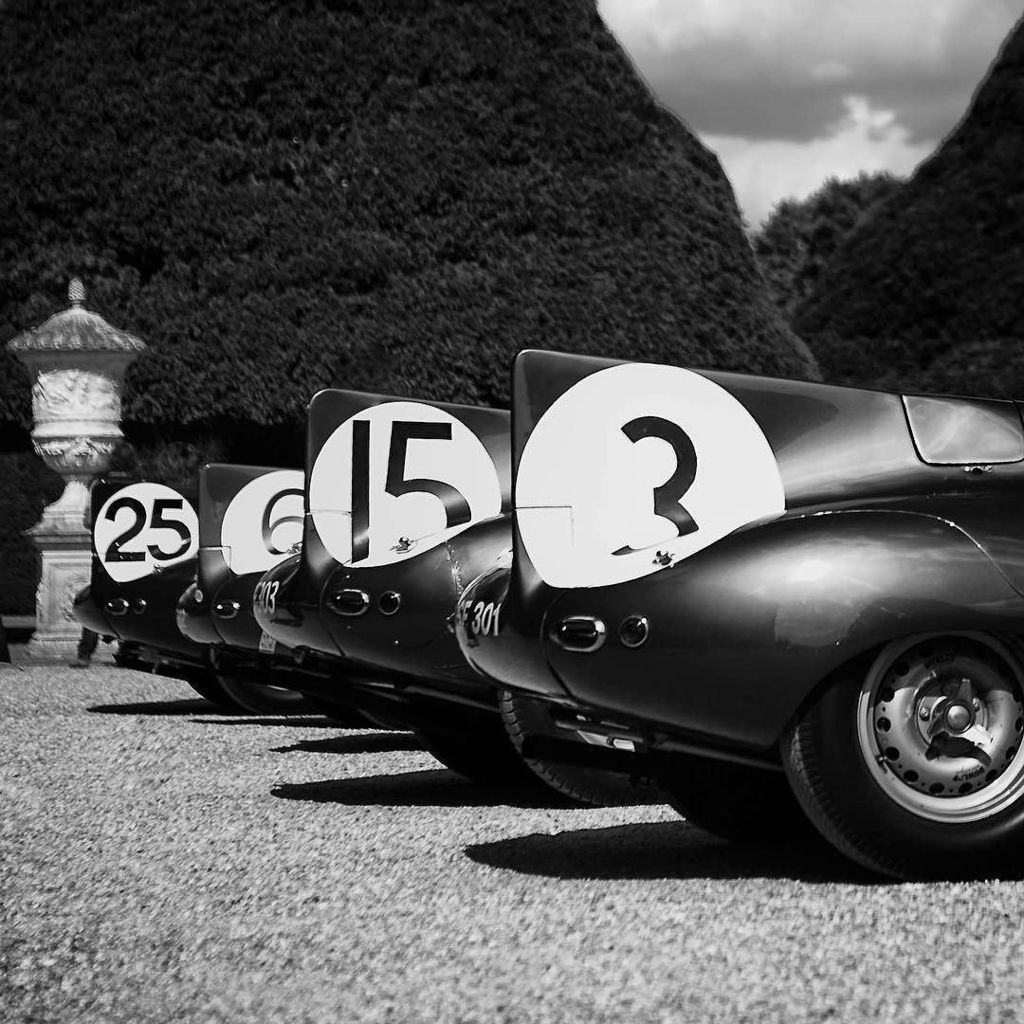 ValveBounce's tweet photo. The cats got the cream in 1957. The all-conquering #Jaguar Le Mans lineup recreated at #concoursofelegance #hampt… https://t.co/vVnIcGF97P https://t.co/DjqvSFkLtb