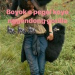 Photo by perwira putra (@pvputra)