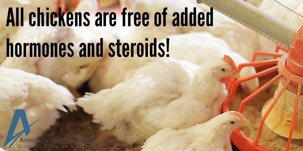 animalag's tweet photo. Myth: #Chickens are given hormones. Fact: ALL #poultry is free of added hormones! https://t.co/BBhXSujW3A #ChickenMonth https://t.co/PYdvSiKU6e