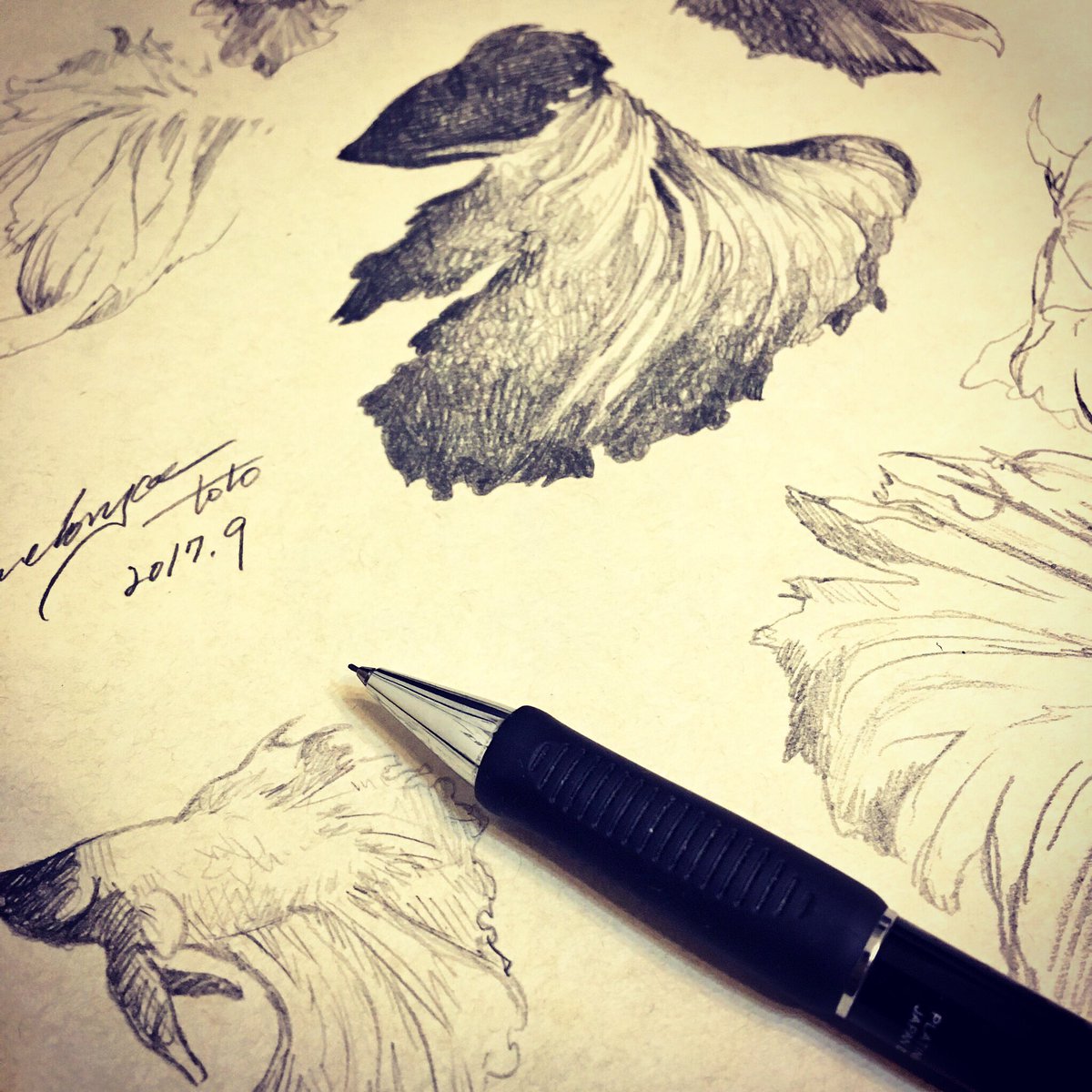 羊皮紙 Twitter Search