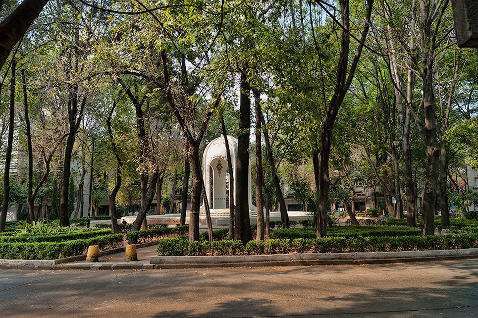 TheLocalWayMX tweet picture